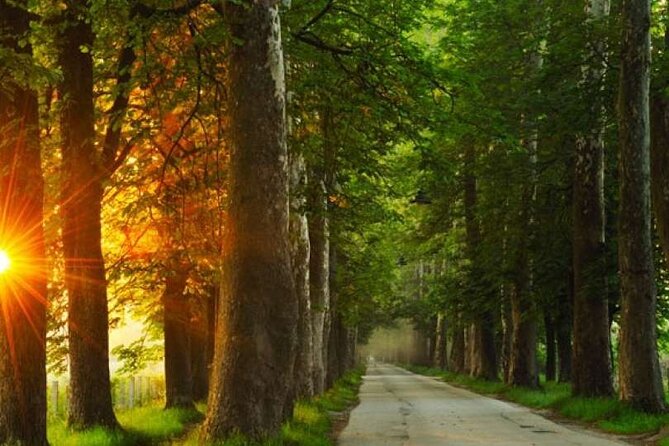 Private Carriage Ride in Vrelo Bosne Nature Park - Who will enjoy this carriage ride?