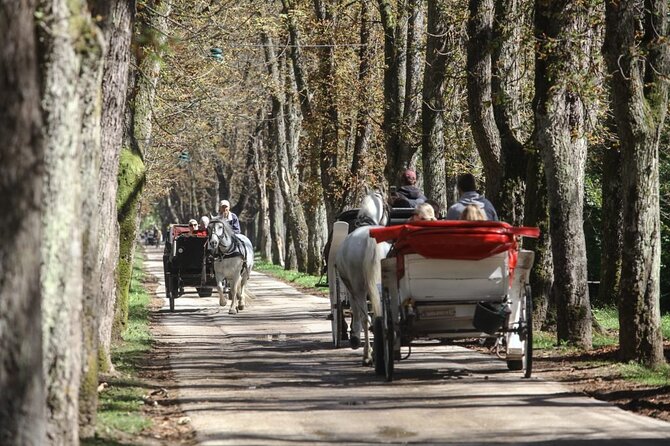 Private Carriage Ride in Vrelo Bosne Nature Park - What the private format means for your day