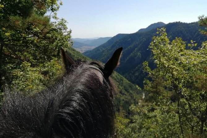 Private Cascades Waterfall Horseback Riding Tour from Smolyan - Learning the basics with Jivko
