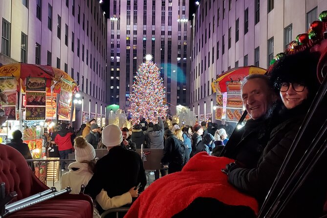 Private Christmas Lights Horse Carriage Tour In New York City - A horse-drawn start beside Central Park