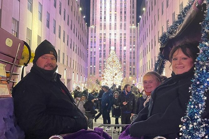 Private Christmas Lights Horse Carriage Tour In New York City - What $450 means for your group