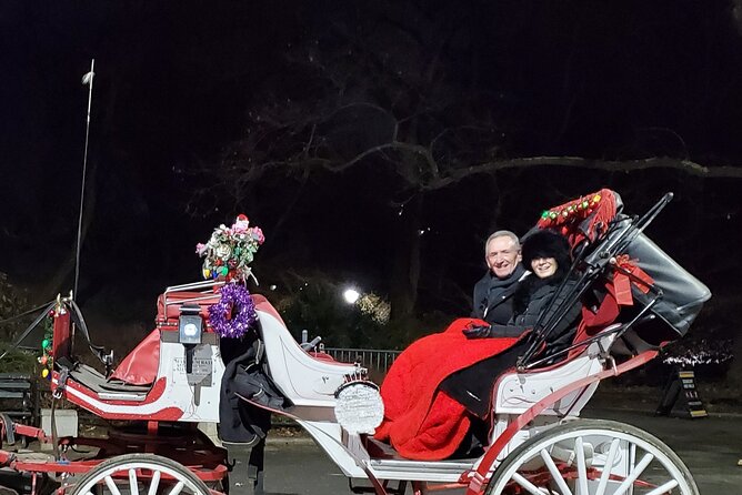 Private Christmas Lights Horse Carriage Tour In New York City - Saks Fifth Avenue supplies the biggest light show