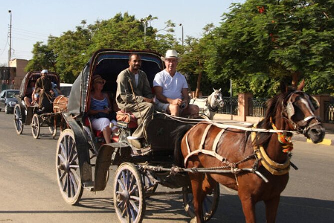 Private City Tour One Hour By Horse Carriage & 1 hour River Nile boat tour-Luxor - Is $18 per person good value?