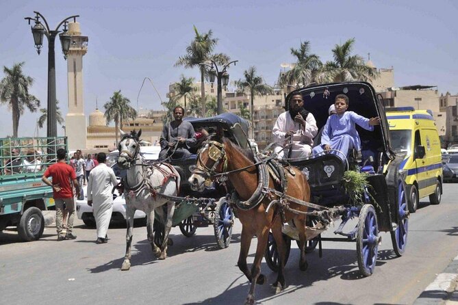 Private City Tour One Hour By Horse Carriage & 1 hour River Nile boat tour-Luxor - Who should book this experience