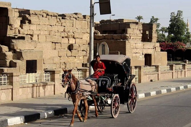 Private City Tour One Hour By Horse Carriage & 1 hour River Nile boat tour-Luxor - Practical details that matter