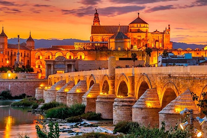 Private Cordoba & Seville Tour with a Finale Horse Carriage Ride - What the Personal Service Adds
