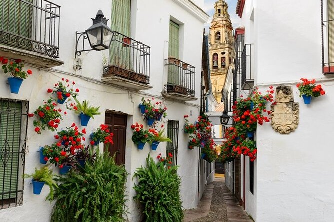 Private Cordoba & Seville Tour with a Finale Horse Carriage Ride - Lunch and the Drive to Seville
