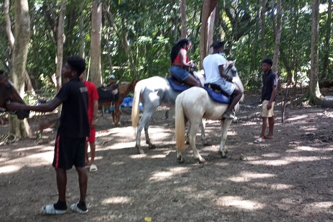Private & Customize Tour to Martha Brae Rafting and Horseback Riding N Swim - Price and value for different groups
