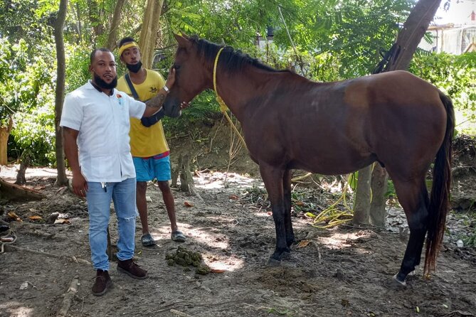 Private & Customize Tour to Martha Brae Rafting and Horseback Riding N Swim - Who will enjoy this day most