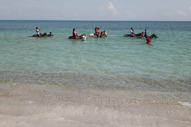Private & Customize Tour to Martha Brae Rafting and Horseback Riding N Swim - Booking advice for a smoother outing