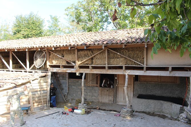 Private day horse riding trip to Sighnaghi with lunch and wine/beer. - Is $180 per person fair value?