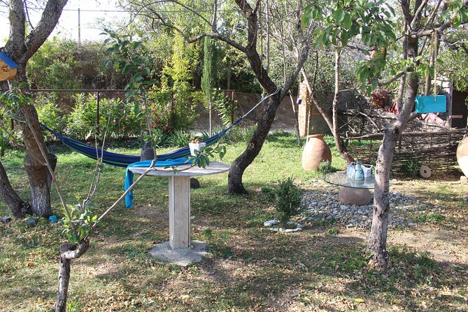 Private day horse riding trip to Sighnaghi with lunch and wine/beer. - Who should book this horseback trip?