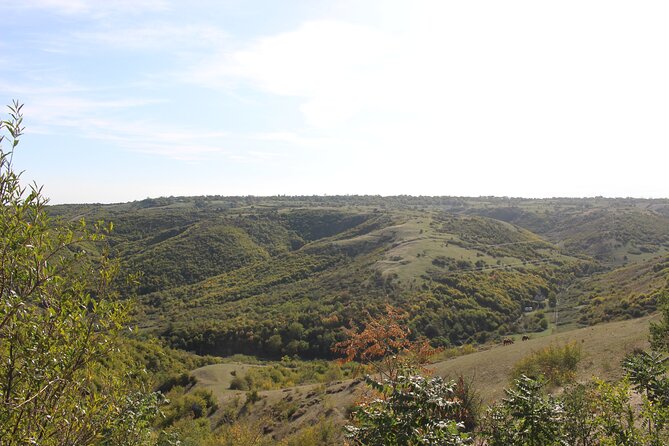 Private day horse riding trip to Sighnaghi with lunch and wine/beer. - Booking details and cancellation