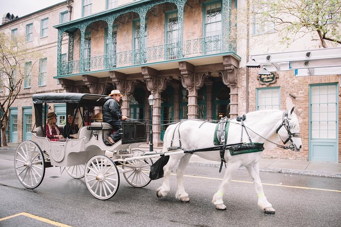 Private Daytime Horse-Drawn Carriage Tour of Charleston - A slow ride through Charleston’s old center