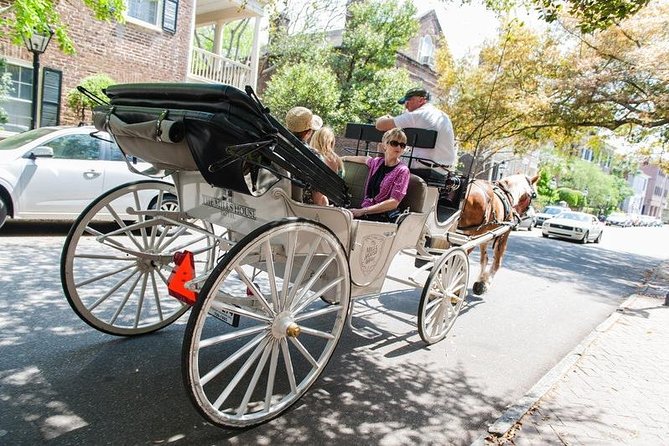 Private Daytime Horse-Drawn Carriage Tour of Charleston - The City Market and the first look at old Charleston