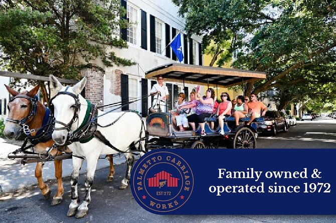 Private Daytime Horse-Drawn Carriage Tour of Charleston - Rainbow Row, the Battery, and the sights you may or may not reach