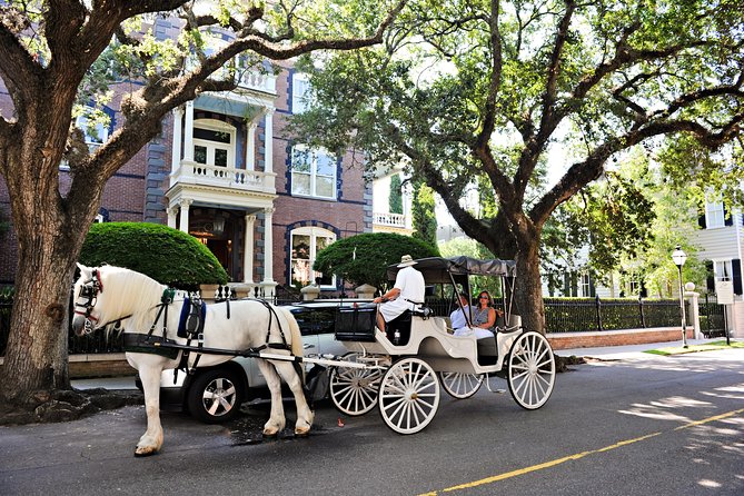 Private Daytime Horse-Drawn Carriage Tour of Charleston - The horses and the pace of the ride