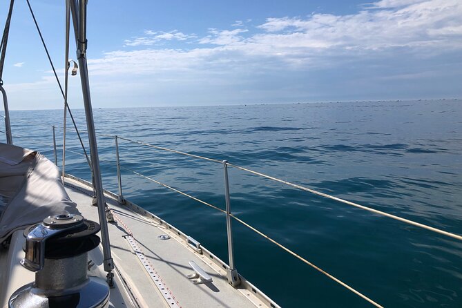 Private Discovery of the Camargue by Sail - The guides make a difference