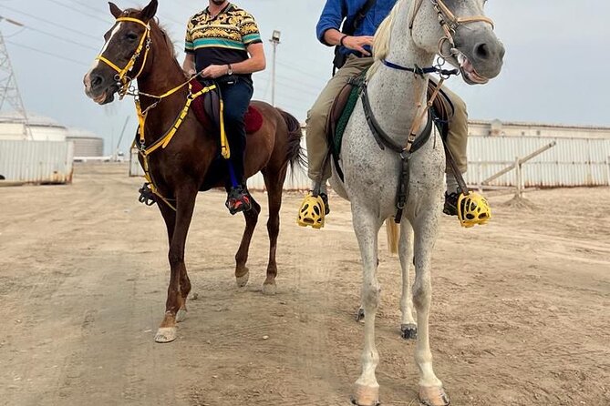 Private-Doha Horse Ride/Camel Ride/Quad Bike All Inclusive Tour - Heading south to Mesaieed