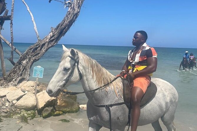 Private Dunns River Falls and Horse Back Riding - Key points to know before booking