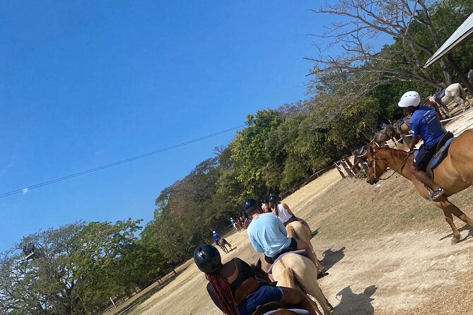 Private Dunns River Falls and Horse Back Riding - Horseback riding in Saint Ann Parish