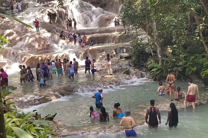 Private Dunns River Falls and Horse Back Riding - What private transportation adds at $110