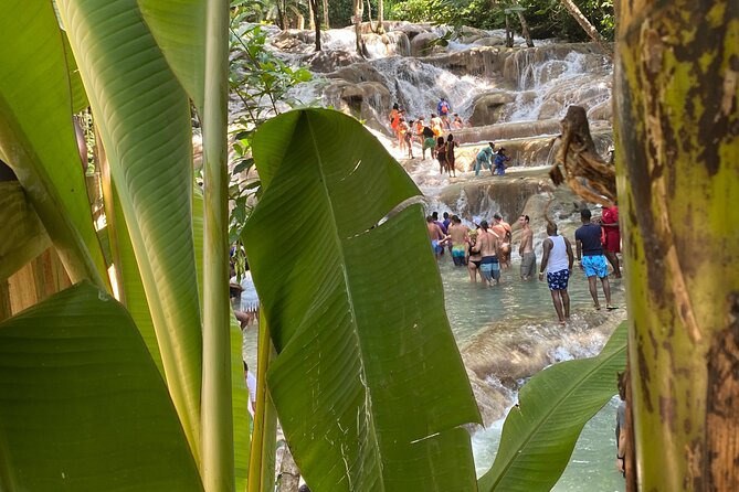 Private Dunns River Falls and Horse Back Riding - Should you book the Dunn’s River Falls and horseback riding tour?