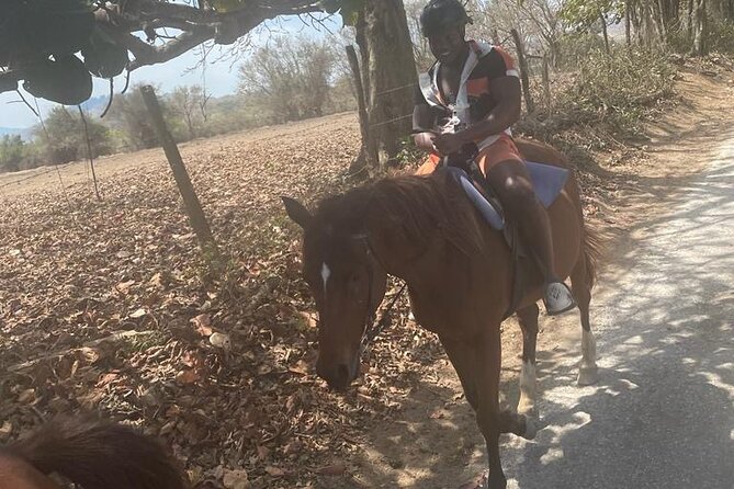 Private Dunns River Falls and Horse Back Riding - Dunn’s River Falls: water, rock terraces, and sea views
