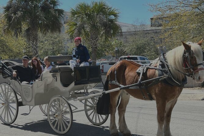 Private Evening Carriage Tour Charleston - Palmetto Carriage - Starting at the Charleston City Market