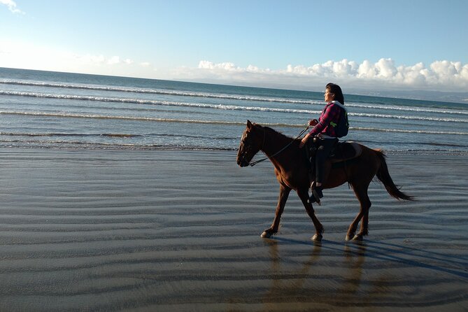 Private excursion to the bufadora and horseback riding on the beach - Who will enjoy this tour most