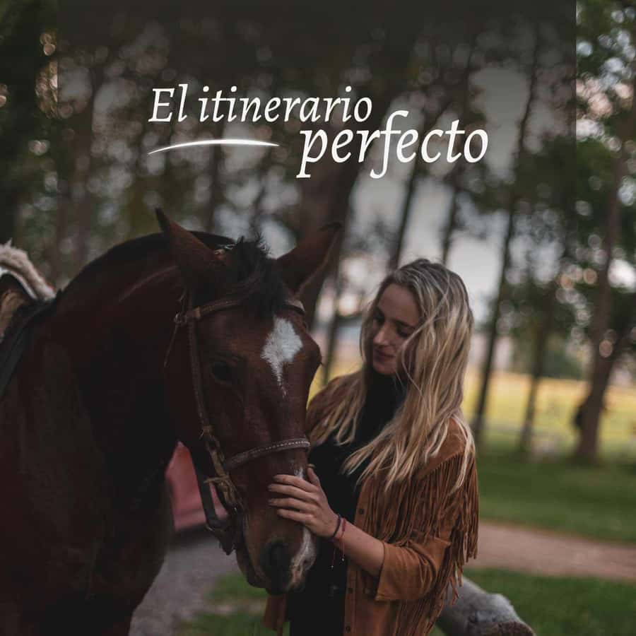 Private Experience: Horseback Riding and BBQ in the Mountain - Estancia La Carrera - Leaving Mendoza for La Carrera Valley