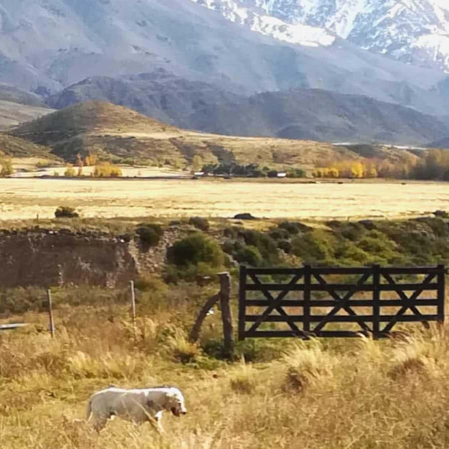 Private Experience: Horseback Riding and BBQ in the Mountain - Estancia La Carrera - My call: book it for the full-day experience