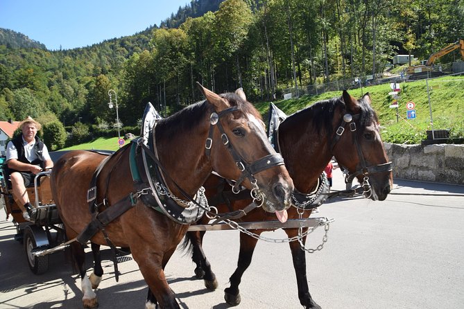 Private Guided Day Trip to Castle Neuschwanstein incl. Carriage Horse Ride - Wies Church brings a quiet change of pace