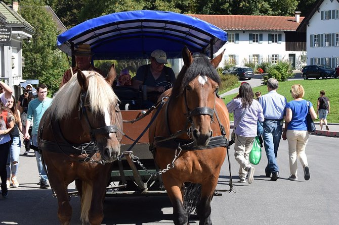 Private Guided Day Trip to Castle Neuschwanstein incl. Carriage Horse Ride - The schedule is full, not frantic