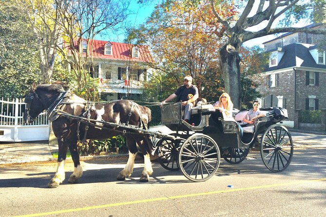 Private Historic Horse & Carriage Tour of Charleston - A slow first look at Charleston’s historic streets