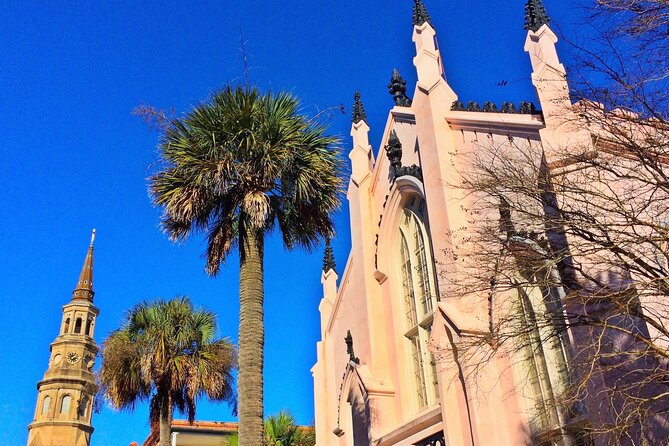 Private Historic Horse & Carriage Tour of Charleston - The guide is the real heart of the experience