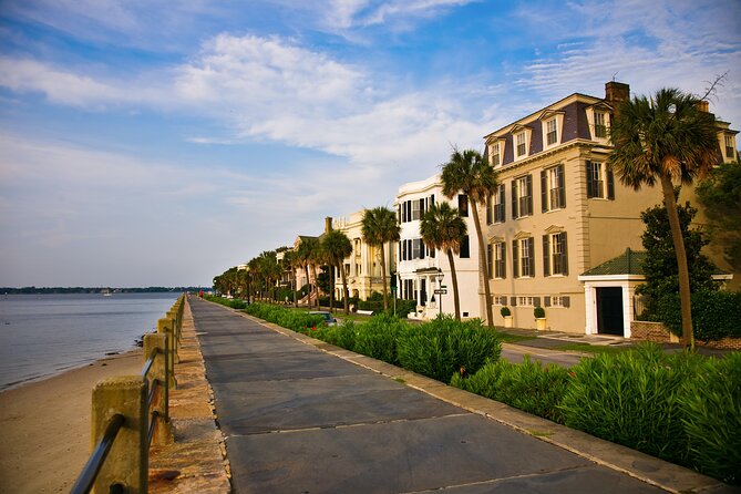 Private Historic Horse & Carriage Tour of Charleston - Horses, comfort, and family use