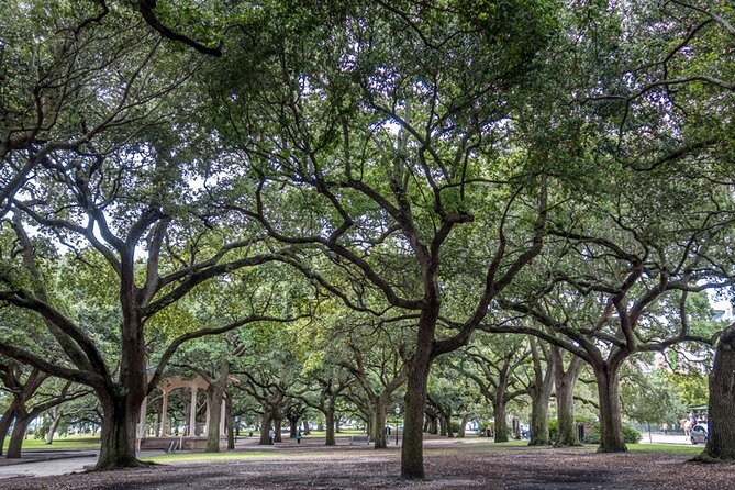 Private Historic Horse & Carriage Tour of Charleston - When this tour fits into a Charleston trip