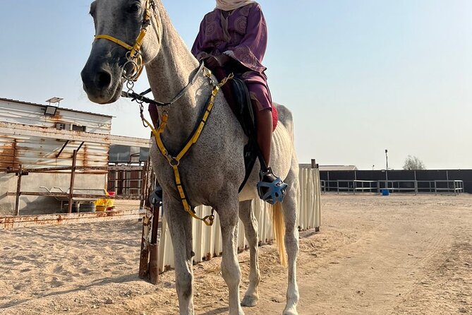 Private Horse and Camel Riding Experience in Doha - The guides make a practical difference