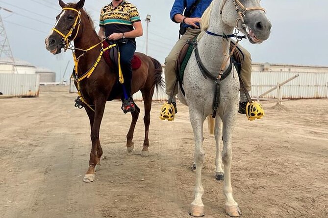 Private Horse and Camel Riding Experience in Doha - Weather can change the plan