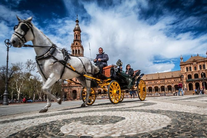 Private Horse Carriage Ride and Walking Tour of Seville - Key points to know before booking
