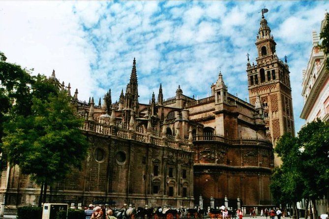 Private Horse Carriage Ride and Walking Tour of Seville - Timing, pickup, and the shape of the morning