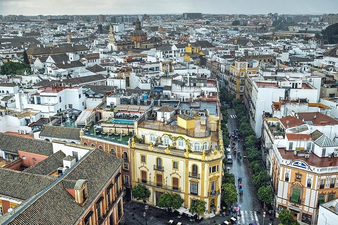 Private Horse Carriage Ride and Walking Tour of Seville - The Cathedral and Giralda, seen with context