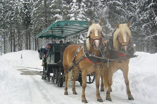 Private Horse-Drawn Sleigh Ride from Salzburg - Warm blankets, local drinks, and the optional stop