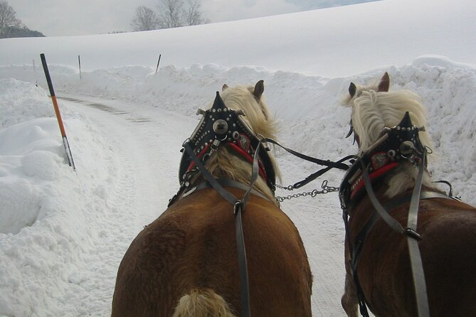 Private Horse-Drawn Sleigh Ride from Salzburg - Faistenau, St. Wolfgang, and the walking portion