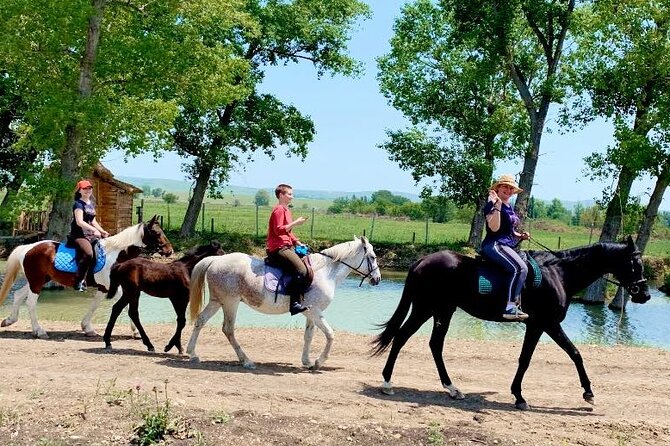 Private Horse Ridding tour - What this horse ride near Tbilisi is really like