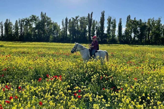 Private Horse Ridding tour - How much value do you get for $109?