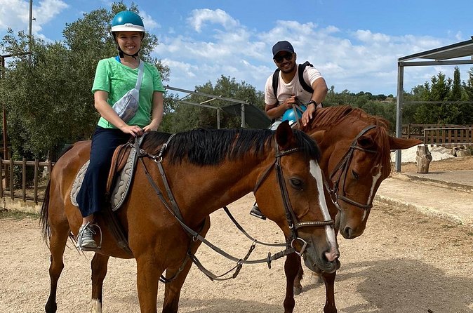 Private Horse Ride Adventure in Modica with Instructor - The horses and the people handling them