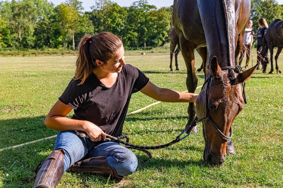 Private Horse Ride experience - Key points to know before booking