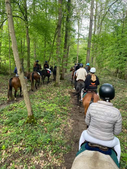 Private Horse Ride experience - A private woodland ride near Chantilly